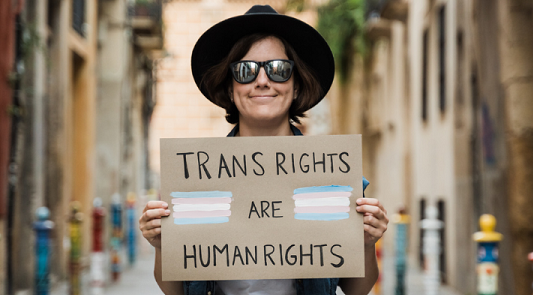 Person holding a sign that reads "trans rights are human rights"