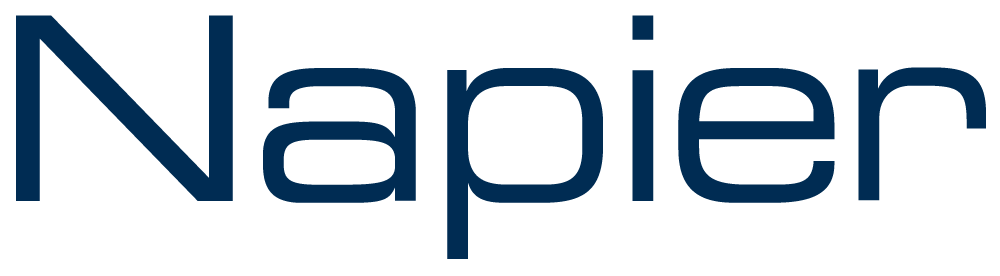 Napier Partnership Limited