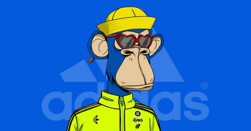 monkey in yellow outfit with blue background addidas logo